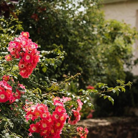 Stoodleigh Court Coach House Bed and Breakfast Tiverton  Εξωτερικό φωτογραφία