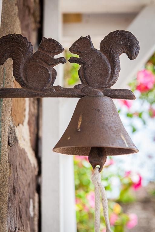 Stoodleigh Court Coach House Bed and Breakfast Tiverton  Εξωτερικό φωτογραφία