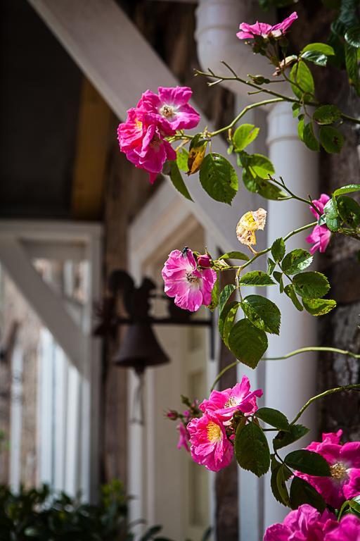 Stoodleigh Court Coach House Bed and Breakfast Tiverton  Εξωτερικό φωτογραφία